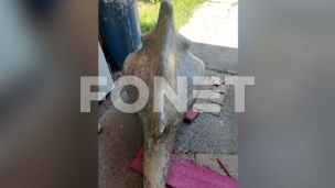 Pronađena ukradena skulptura